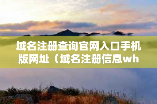 域名注册查询官网入口手机版网址（域名注册信息whois查询）