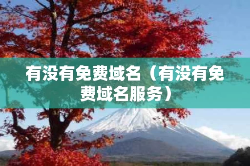 有没有免费域名（有没有免费域名服务）