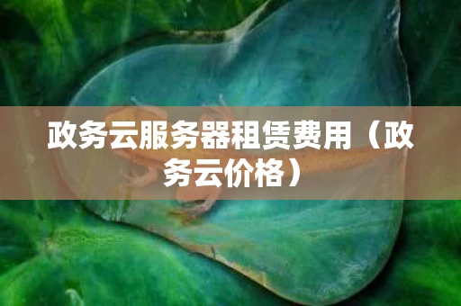 政务云服务器租赁费用（政务云价格）