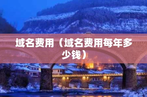 域名费用（域名费用每年多少钱）