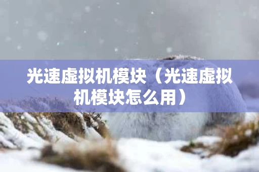 光速虚拟机模块（光速虚拟机模块怎么用）