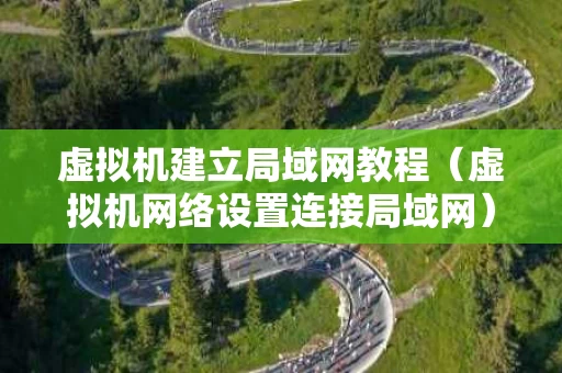 虚拟机建立局域网教程（虚拟机网络设置连接局域网）