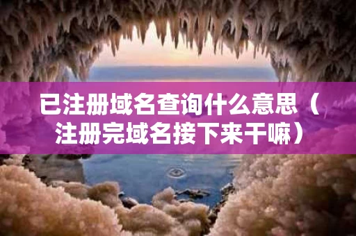已注册域名查询什么意思（注册完域名接下来干嘛）