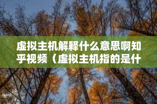 虚拟主机解释什么意思啊知乎视频（虚拟主机指的是什么）