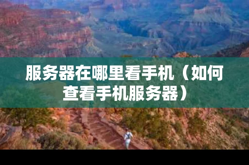 服务器在哪里看手机（如何查看手机服务器）