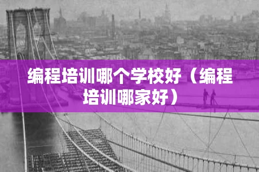 编程培训哪个学校好（编程培训哪家好）