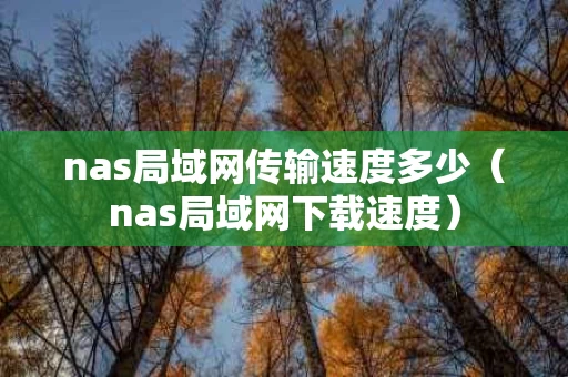 nas局域网传输速度多少（nas局域网下载速度）