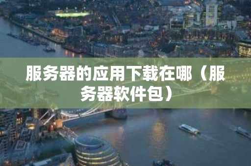服务器的应用下载在哪（服务器软件包）