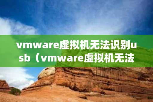 vmware虚拟机无法识别usb（vmware虚拟机无法识别银行key）