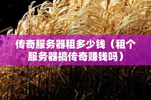 传奇服务器租多少钱（租个服务器搞传奇赚钱吗）