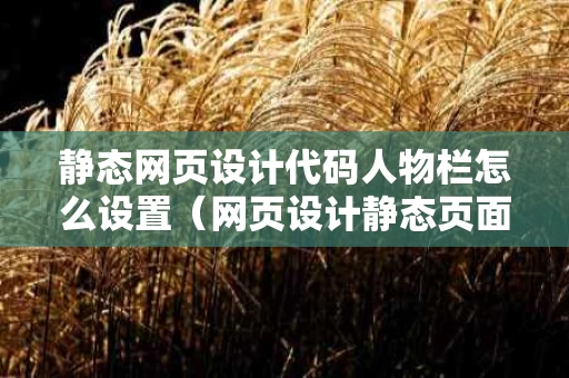 静态网页设计代码人物栏怎么设置（网页设计静态页面）