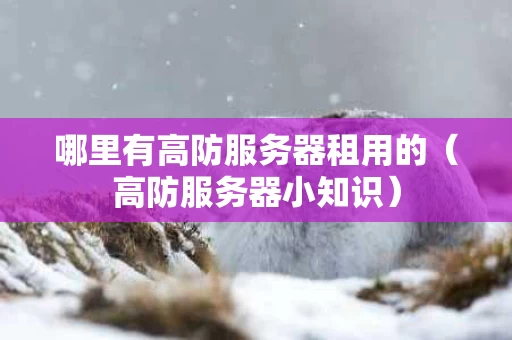 哪里有高防服务器租用的（高防服务器小知识）