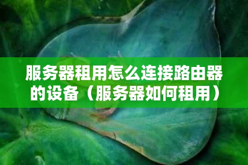 服务器租用怎么连接路由器的设备（服务器如何租用）