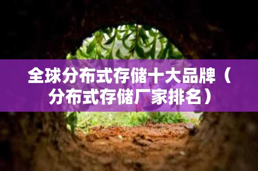 全球分布式存储十大品牌（分布式存储厂家排名）