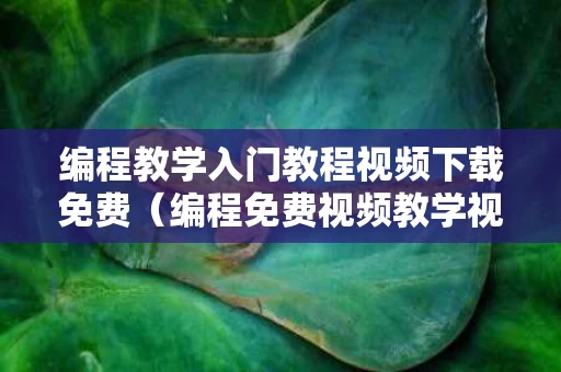 编程教学入门教程视频下载免费（编程免费视频教学视频）