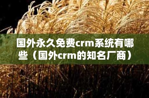 国外永久免费crm系统有哪些（国外crm的知名厂商）