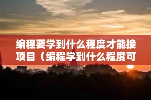 编程要学到什么程度才能接项目（编程学到什么程度可以接单）