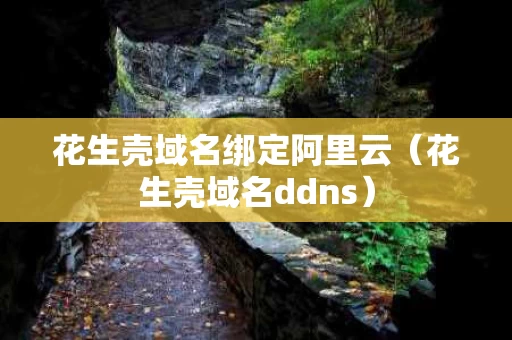 花生壳域名绑定阿里云（花生壳域名ddns）