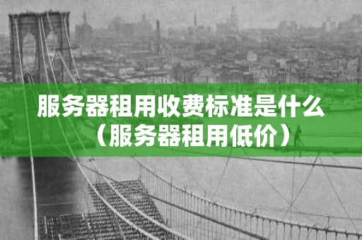 服务器租用收费标准是什么（服务器租用低价）