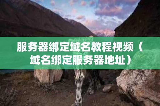 服务器绑定域名教程视频（域名绑定服务器地址）