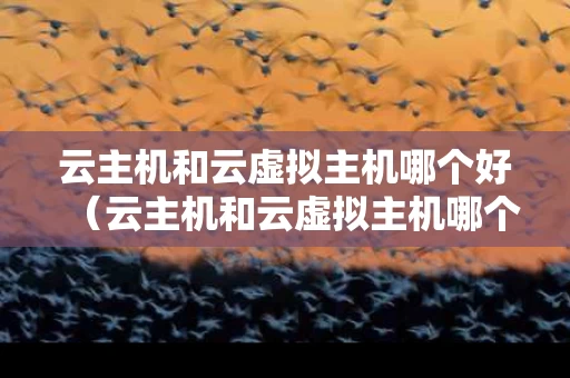 云主机和云虚拟主机哪个好（云主机和云虚拟主机哪个好一点）