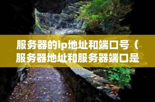 服务器的ip地址和端口号（服务器地址和服务器端口是指什么?）