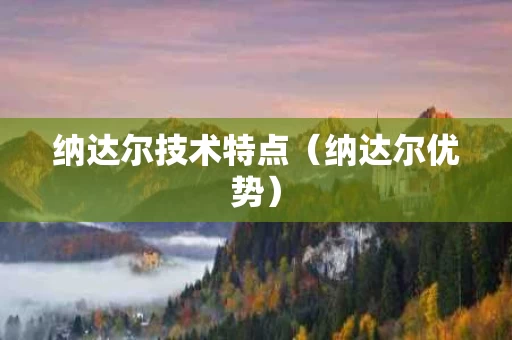 纳达尔技术特点（纳达尔优势）