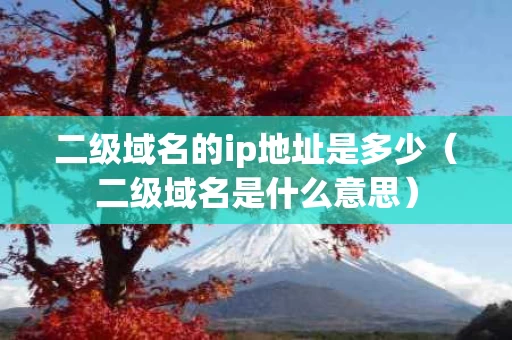 二级域名的ip地址是多少（二级域名是什么意思）
