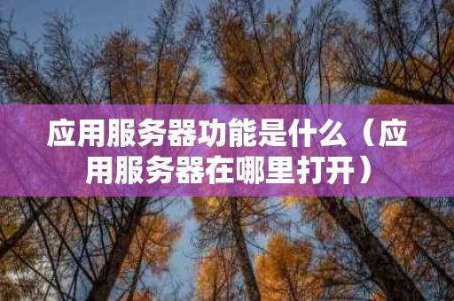 应用服务器功能是什么（应用服务器在哪里打开）