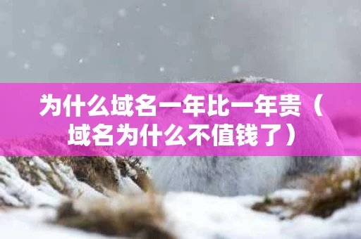 为什么域名一年比一年贵（域名为什么不值钱了）