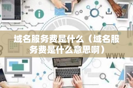 域名服务费是什么（域名服务费是什么意思啊）