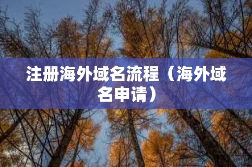 注册海外域名流程（海外域名申请）