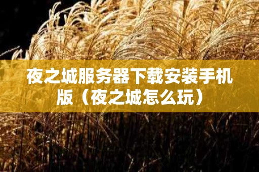 夜之城服务器下载安装手机版（夜之城怎么玩）