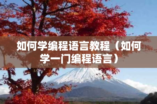 如何学编程语言教程（如何学一门编程语言）
