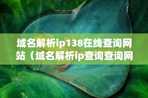 域名解析ip138在线查询网站（域名解析ip查询查询网）