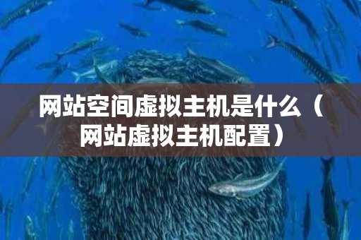 网站空间虚拟主机是什么（网站虚拟主机配置）