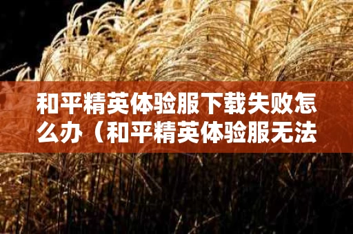 和平精英体验服下载失败怎么办（和平精英体验服无法下载）