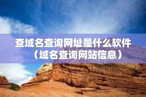 查域名查询网址是什么软件（域名查询网站信息）