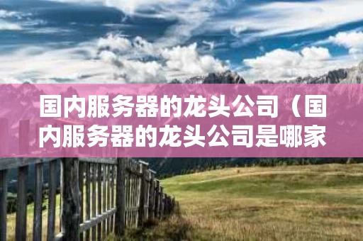 国内服务器的龙头公司（国内服务器的龙头公司是哪家）