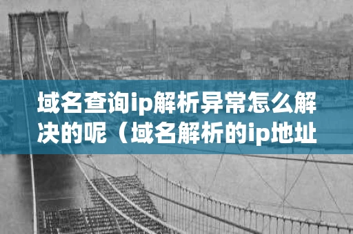 域名查询ip解析异常怎么解决的呢（域名解析的ip地址）