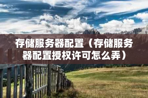 存储服务器配置（存储服务器配置授权许可怎么弄）