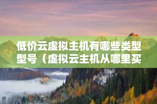 低价云虚拟主机有哪些类型型号（虚拟云主机从哪里买便宜）
