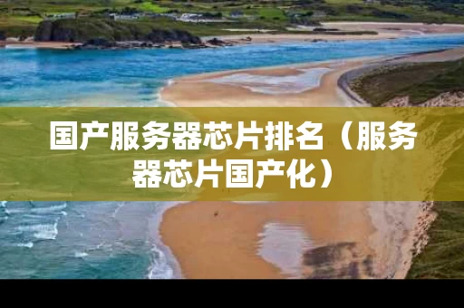 国产服务器芯片排名（服务器芯片国产化）