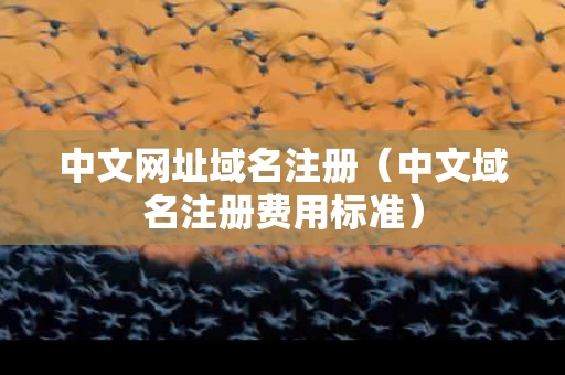 中文网址域名注册（中文域名注册费用标准）