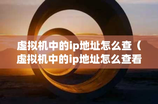 虚拟机中的ip地址怎么查（虚拟机中的ip地址怎么查看）