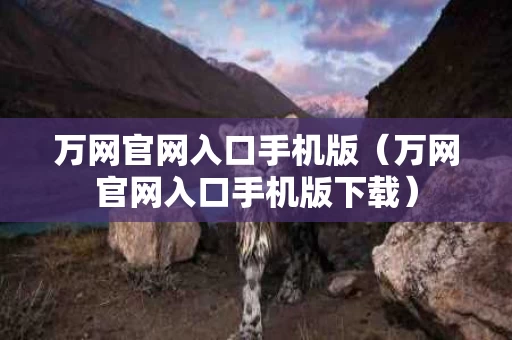 万网官网入口手机版（万网官网入口手机版下载）