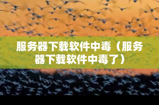 服务器下载软件中毒（服务器下载软件中毒了）