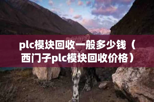 plc模块回收一般多少钱（西门子plc模块回收价格）