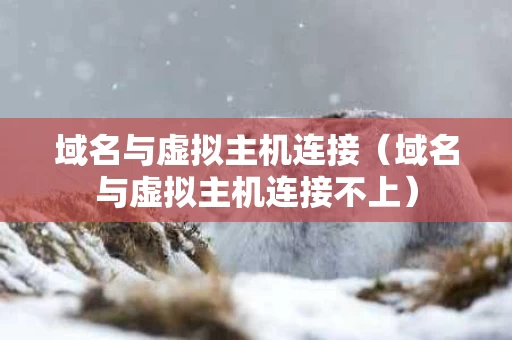 域名与虚拟主机连接（域名与虚拟主机连接不上）