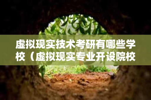虚拟现实技术考研有哪些学校（虚拟现实专业开设院校）
